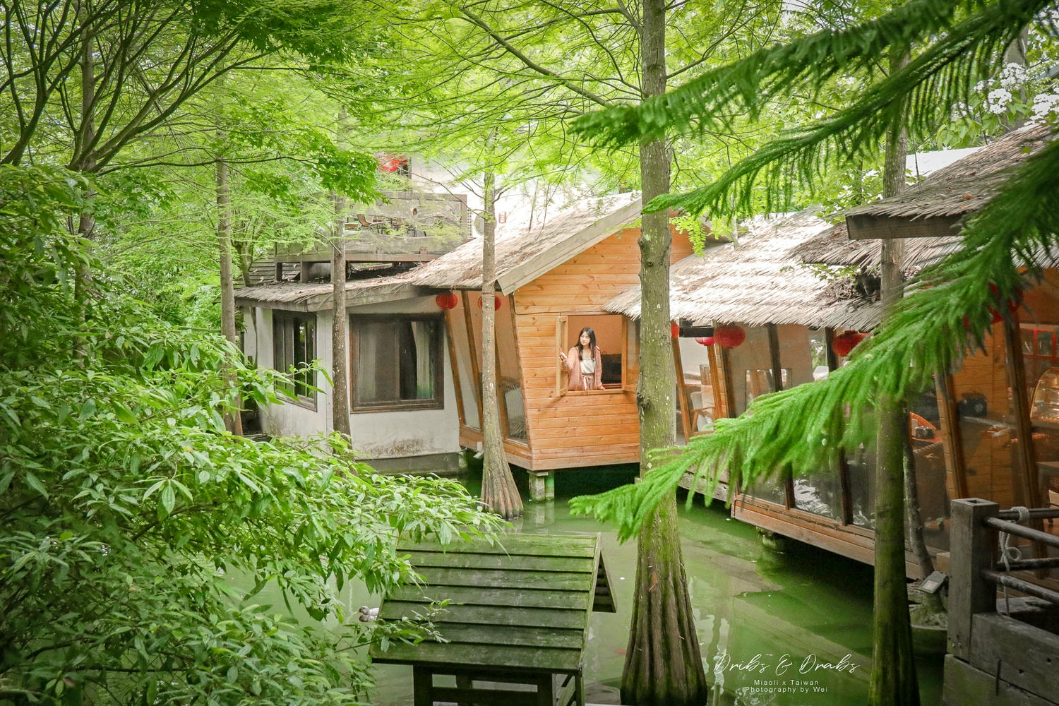 苗栗森林系民宿｜精選12間被大自然包圍的旅宿, 森林裡住一晚聆聽山林風雨的對話