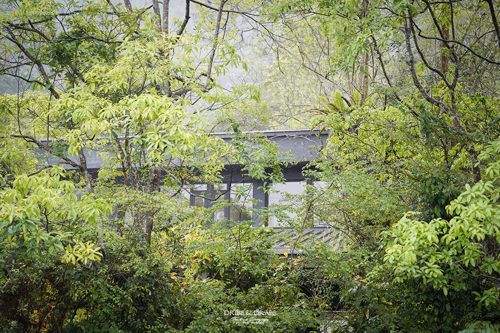 宜蘭冬山「三富休閒農場/紫森林」住在森林裡之清水模建築民宿, 沒有蚊子的生態農場, 寵物友善住宿