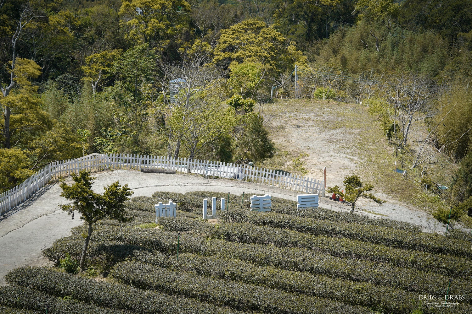 桃園復興「景美山林茶園&山月茶屋」擁有絕美山陵線的茶園景觀餐廳, 以茶為核心的品茗空間