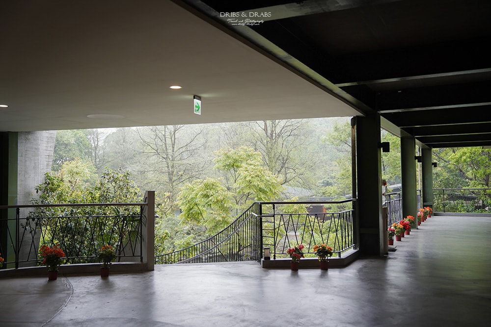 宜蘭冬山「三富休閒農場/紫森林」住在森林裡之清水模建築民宿, 沒有蚊子的生態農場, 寵物友善住宿 - 第15張圖 宜蘭冬山「三富休閒農場/紫森林」二訪清水模建築森林民宿, 無蚊生態園區與寵物友善住宿