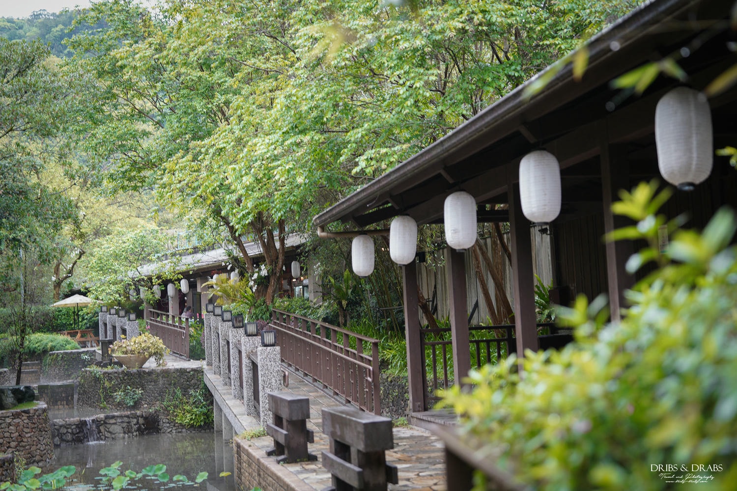 宜蘭礁溪美食「陋室銘神粥府」一位難求的預約制森林老宅餐廳, 浮誇系砂鍋粥與神秘的能量體驗
