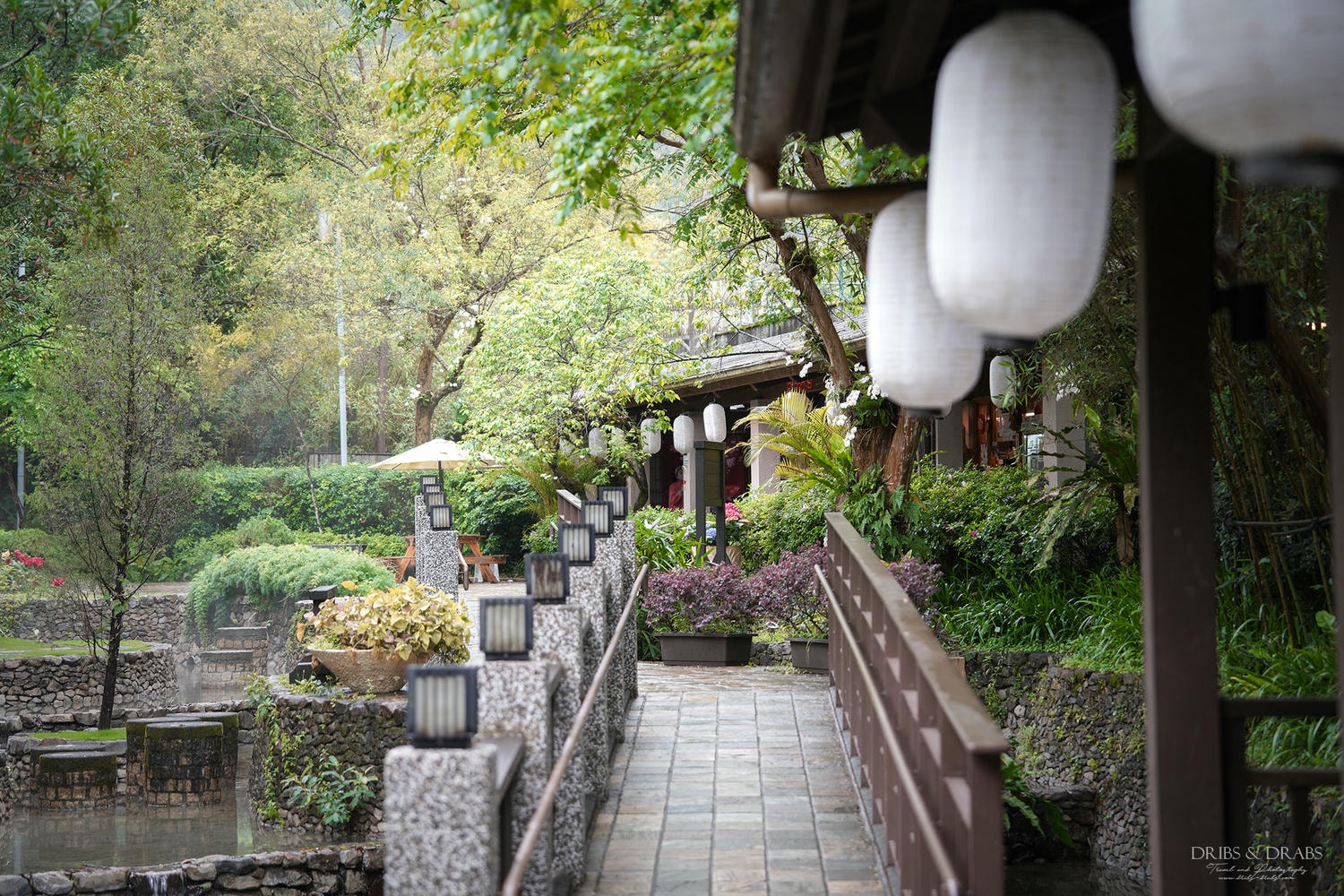 宜蘭礁溪美食「陋室銘神粥府」一位難求的預約制森林老宅餐廳, 浮誇系砂鍋粥與神秘的能量體驗