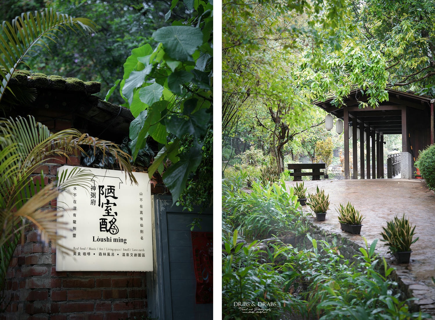 宜蘭礁溪美食「陋室銘神粥府」一位難求的預約制森林老宅餐廳, 浮誇系砂鍋粥與神秘的能量體驗