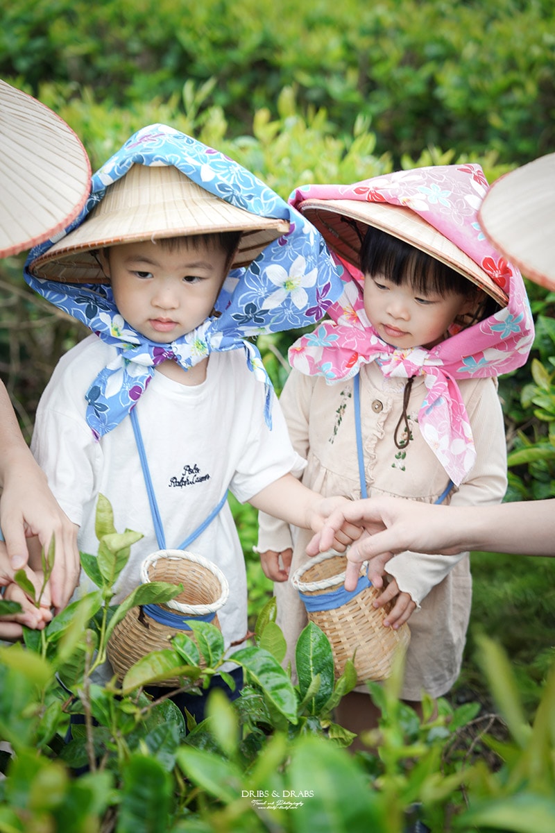 宜蘭冬山農遊旅行「星源茶園」有趣的茶文化體驗, 手揉製茶/絹印茶枕DIY/綠茶冰淇淋DIY