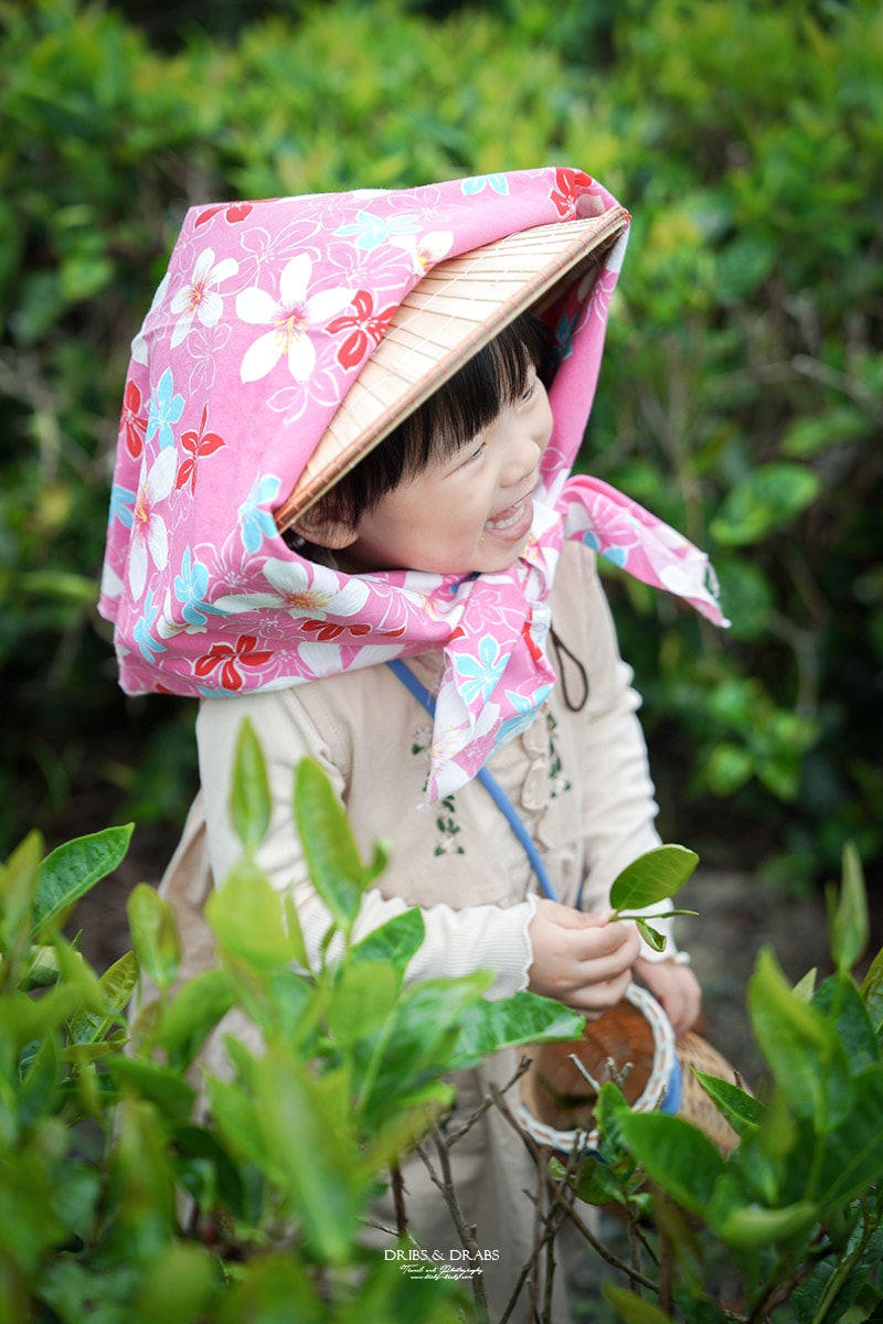宜蘭冬山農遊旅行「星源茶園」有趣的茶文化體驗, 手揉製茶/絹印茶枕DIY/綠茶冰淇淋DIY