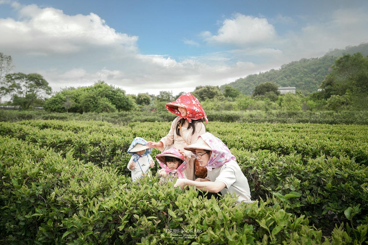 宜蘭冬山農遊旅行「星源茶園」有趣的茶文化體驗, 手揉製茶/絹印茶枕DIY/綠茶冰淇淋DIY