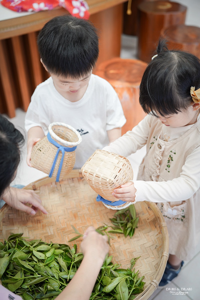 宜蘭冬山農遊旅行「星源茶園」有趣的茶文化體驗, 手揉製茶/絹印茶枕DIY/綠茶冰淇淋DIY