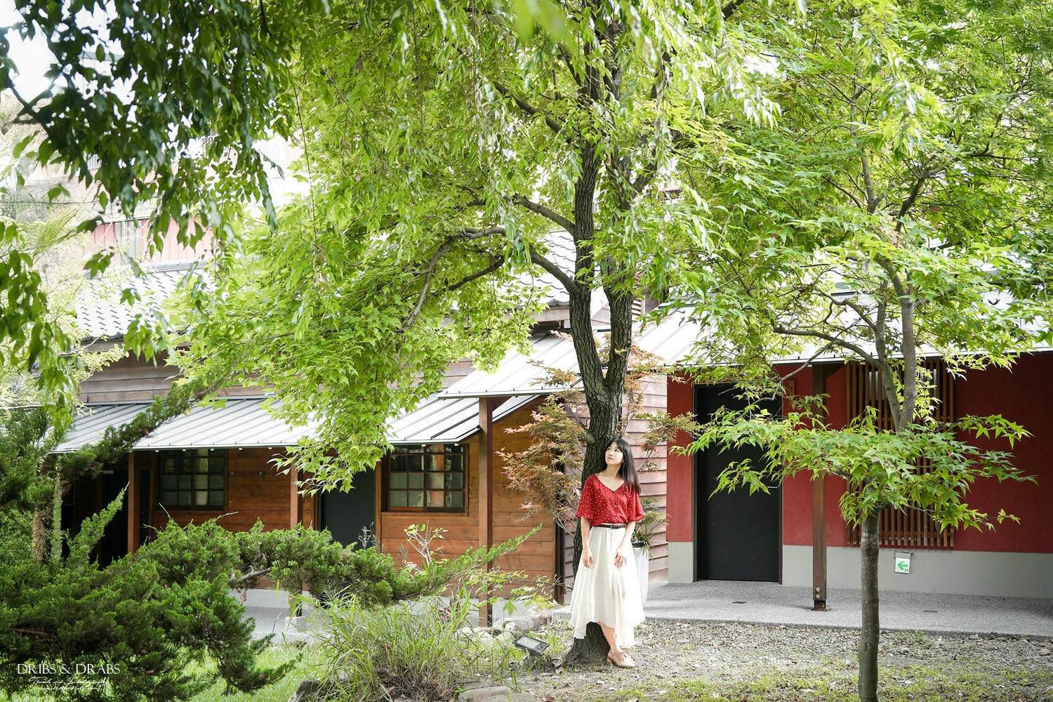 南投埔里民宿推薦「能高俱樂部」日系美學風格旅店, 入住百年老宅品味舊時光