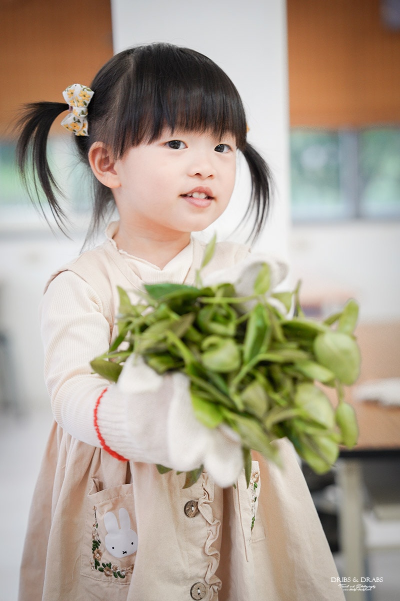 宜蘭冬山農遊旅行「星源茶園」有趣的茶文化體驗, 手揉製茶/絹印茶枕DIY/綠茶冰淇淋DIY