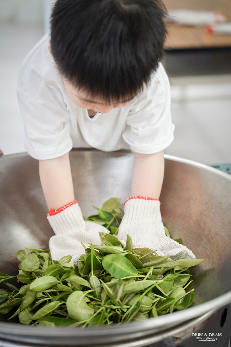 宜蘭冬山農遊旅行「星源茶園」有趣的茶文化體驗, 手揉製茶/絹印茶枕DIY/綠茶冰淇淋DIY