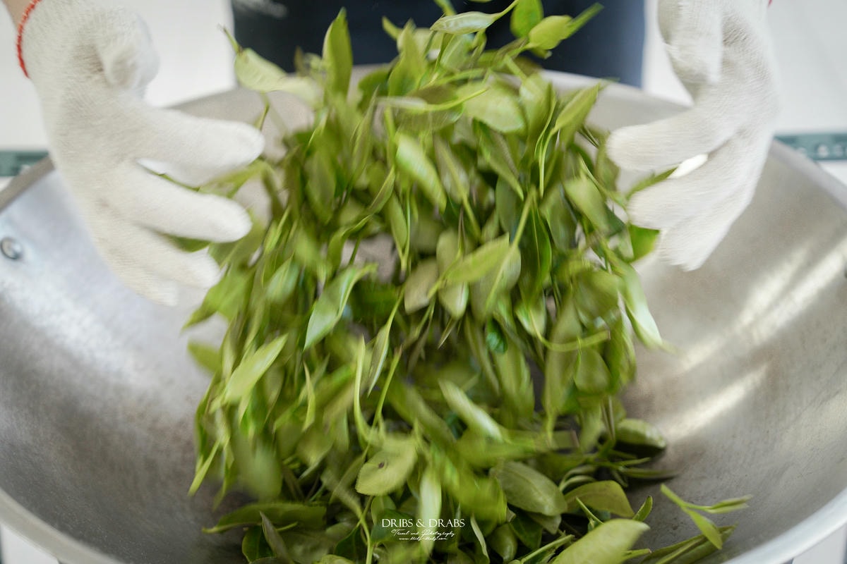 宜蘭冬山農遊旅行「星源茶園」有趣的茶文化體驗, 手揉製茶/絹印茶枕DIY/綠茶冰淇淋DIY