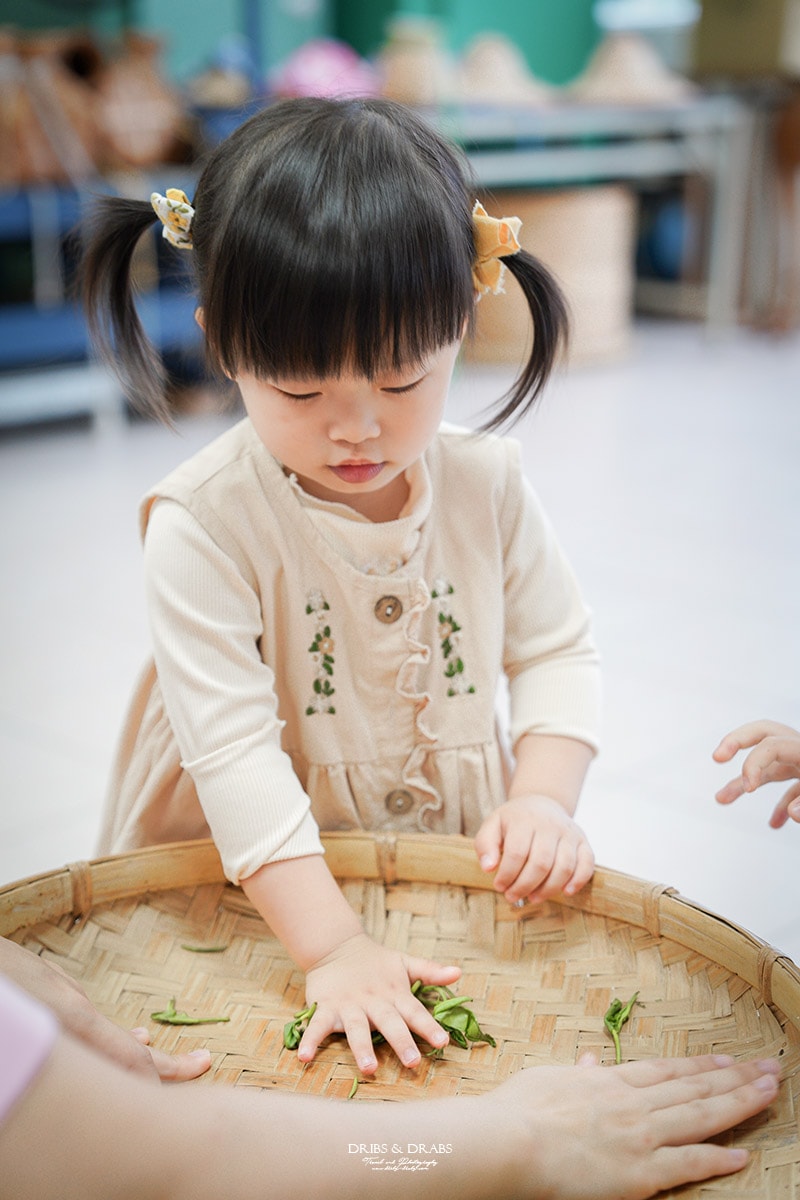 宜蘭冬山農遊旅行「星源茶園」有趣的茶文化體驗, 手揉製茶/絹印茶枕DIY/綠茶冰淇淋DIY