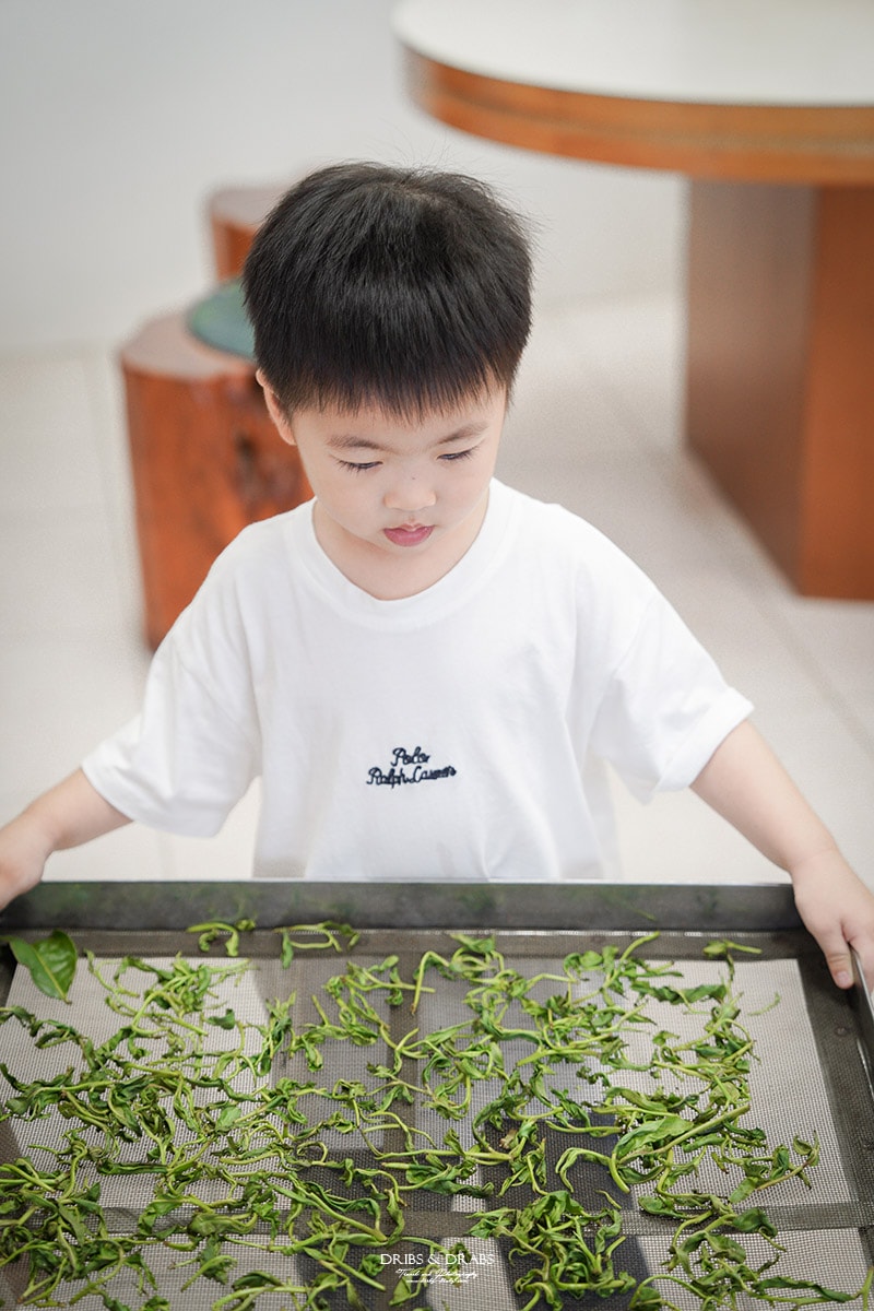 宜蘭冬山農遊旅行「星源茶園」有趣的茶文化體驗, 手揉製茶/絹印茶枕DIY/綠茶冰淇淋DIY