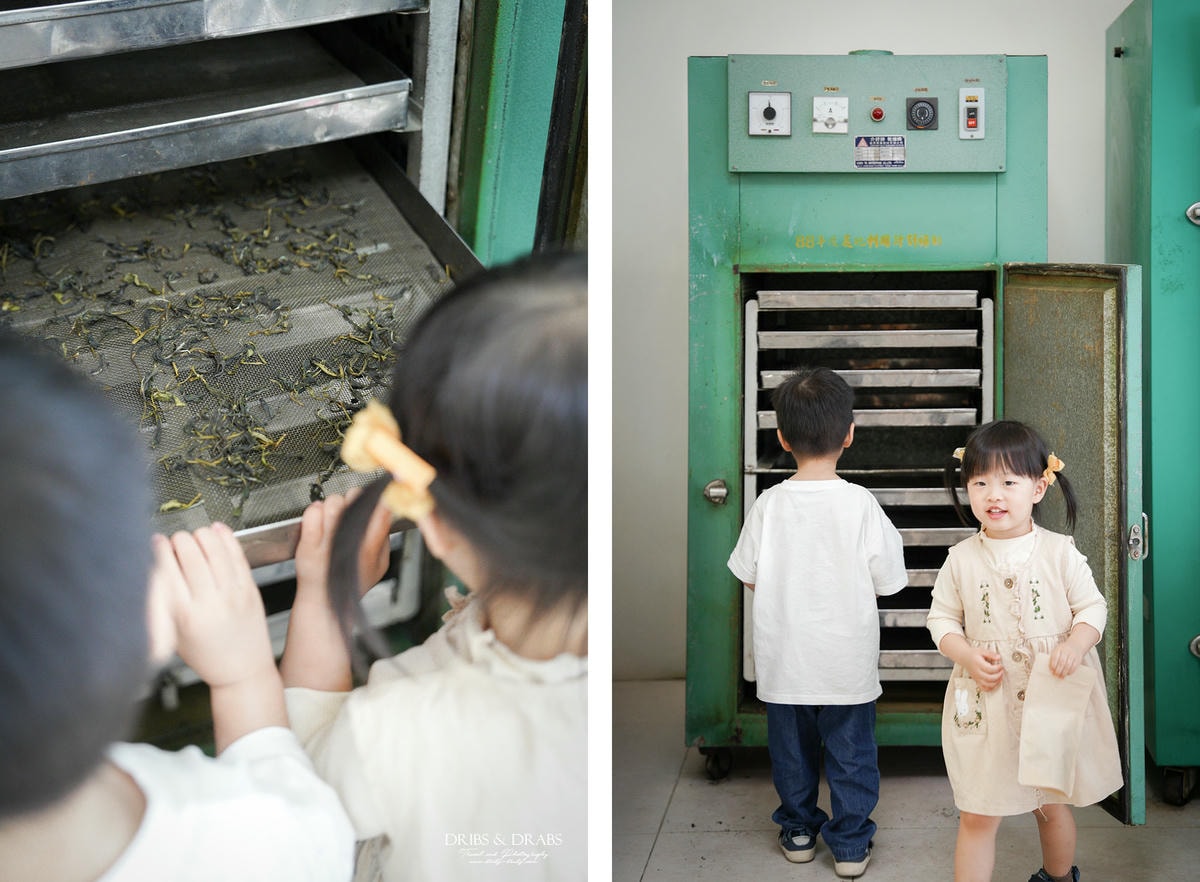 宜蘭冬山農遊旅行「星源茶園」有趣的茶文化體驗, 手揉製茶/絹印茶枕DIY/綠茶冰淇淋DIY