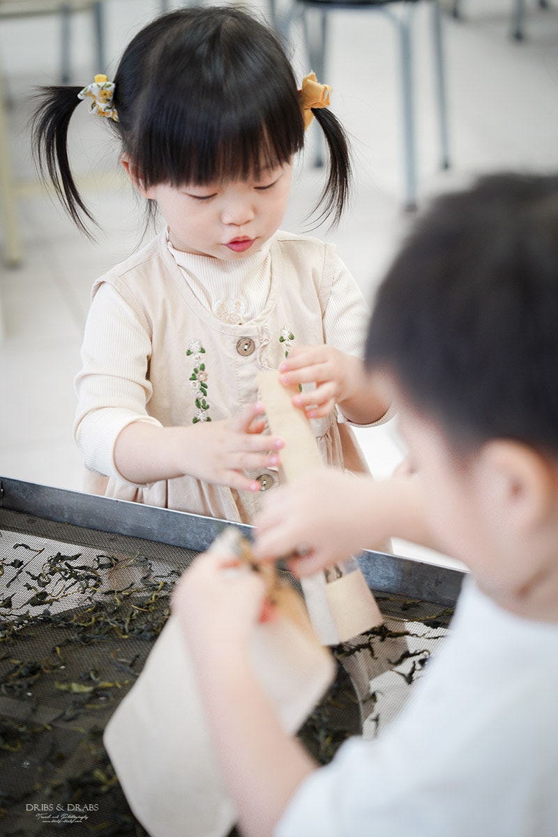 宜蘭冬山農遊旅行「星源茶園」有趣的茶文化體驗, 手揉製茶/絹印茶枕DIY/綠茶冰淇淋DIY