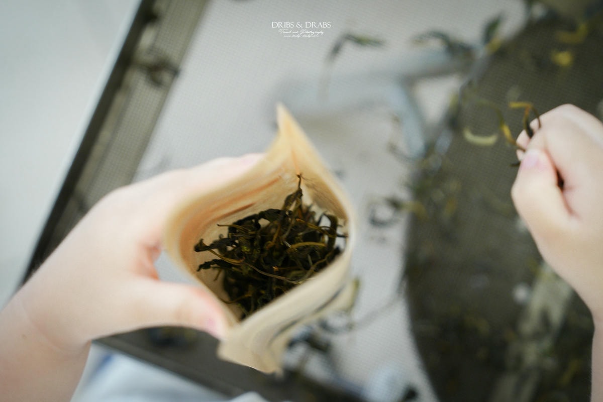 宜蘭冬山農遊旅行「星源茶園」有趣的茶文化體驗, 手揉製茶/絹印茶枕DIY/綠茶冰淇淋DIY