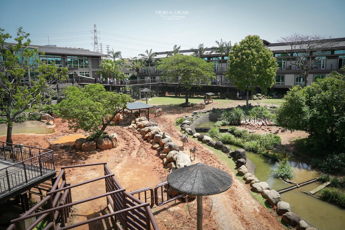 新竹關西「六福莊」住在動物園裡之亞洲第一座生態渡假村, 結合六福村兩日遊 - 第27張圖 新竹關西「六福莊」住在動物園裡之亞洲第一座生態渡假村, 結合六福村兩日遊