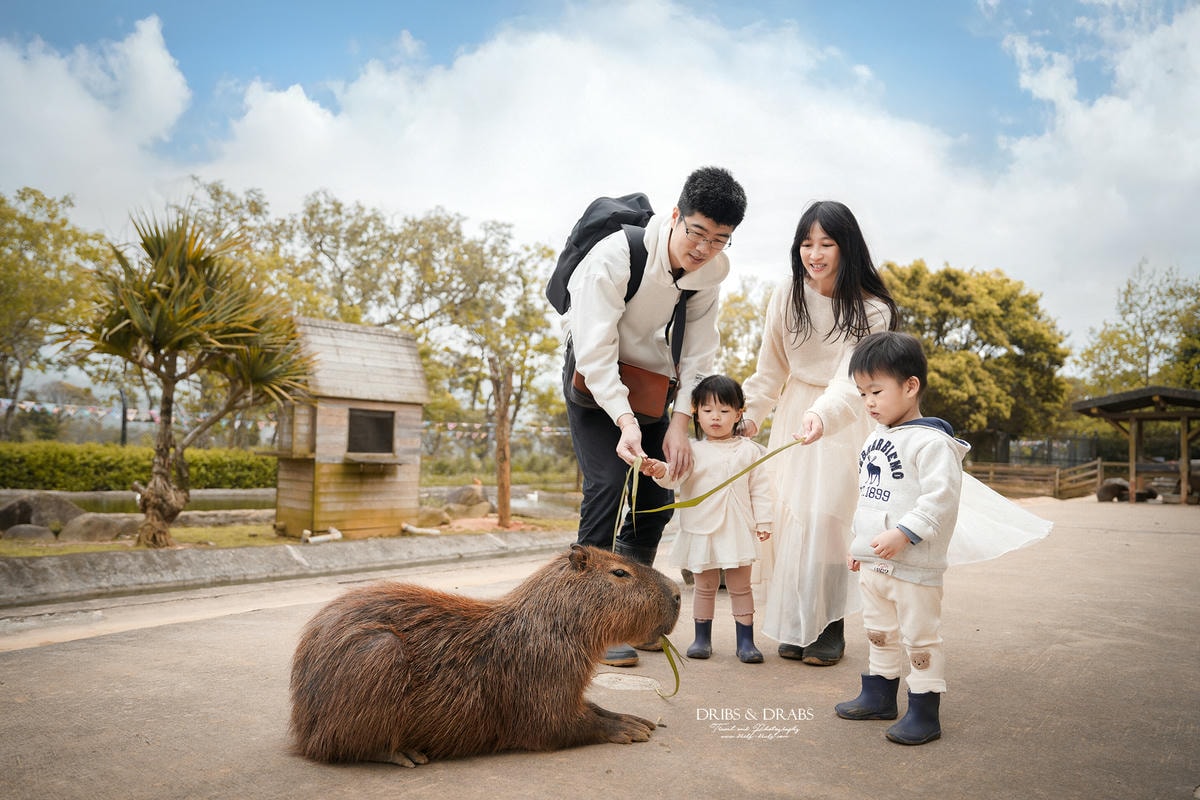 2026新竹關西一日遊行程推薦｜仙草花季Top12景點, 美食, 咖啡廳, 住宿懶人包