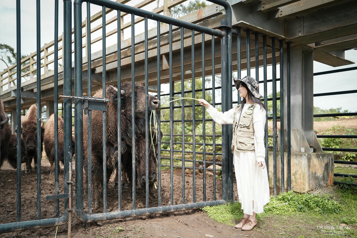 新竹關西「六福莊」住在動物園裡之亞洲第一座生態渡假村, 結合六福村兩日遊 - 第44張圖 新竹關西「六福莊」住在動物園裡之亞洲第一座生態渡假村, 結合六福村兩日遊
