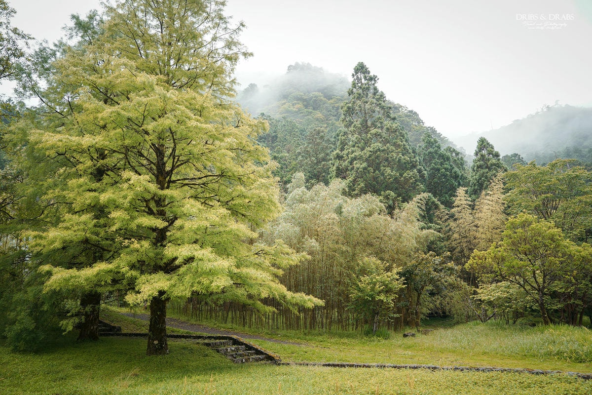 宜蘭明池/明池山莊｜最後的時光身在雲霧飄渺的森林仙境, 北橫之珠山上避暑勝地