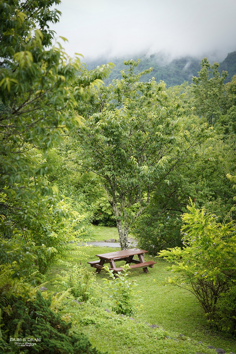 宜蘭棲蘭山莊|最後的時光之力麗馬告生態園區, 住進雲霧森林仙境一探棲蘭神木園之美 - 第5張圖 宜蘭棲蘭山莊|最後的時光之力麗馬告生態園區, 住進雲霧森林仙境一探棲蘭神木園之美
