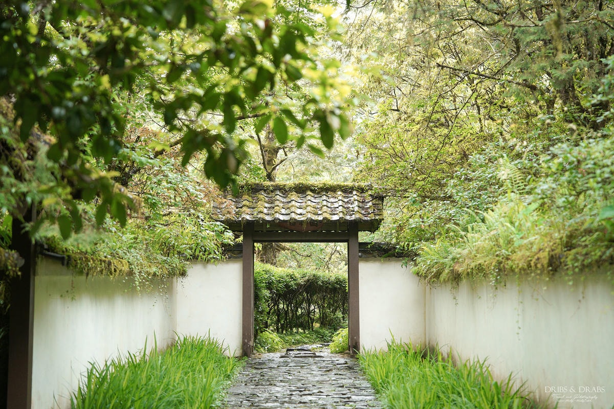 宜蘭明池/明池山莊｜最後的時光身在雲霧飄渺的森林仙境, 北橫之珠山上避暑勝地