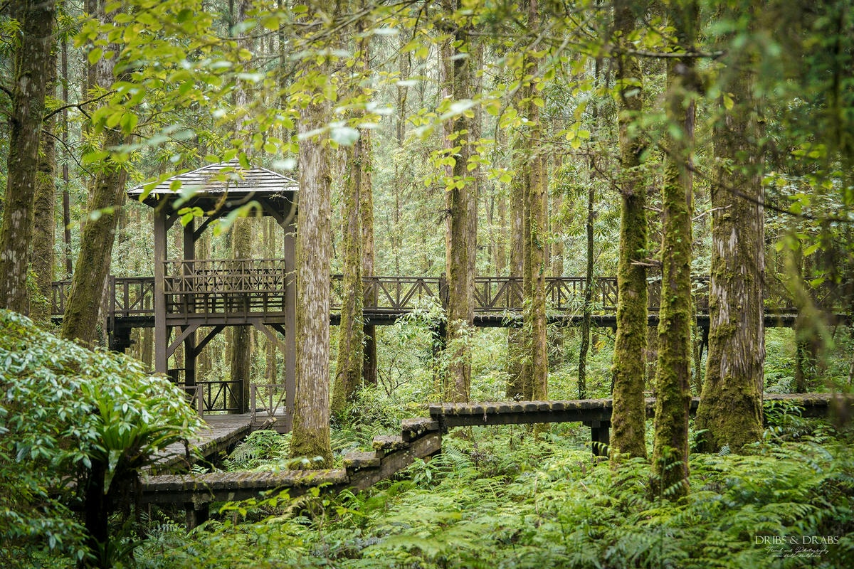 宜蘭明池/明池山莊｜最後的時光身在雲霧飄渺的森林仙境, 北橫之珠山上避暑勝地