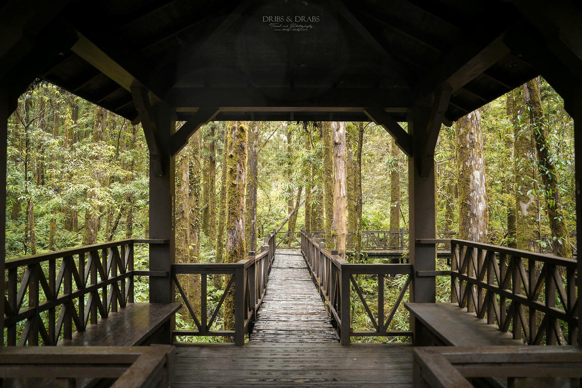 宜蘭明池/明池山莊｜最後的時光身在雲霧飄渺的森林仙境, 北橫之珠山上避暑勝地