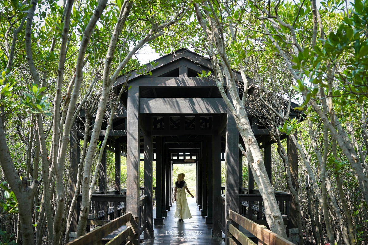 新竹新豐紅樹林步道