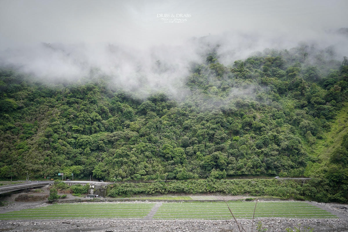 宜蘭棲蘭山莊|最後的時光之力麗馬告生態園區, 住進雲霧森林仙境一探棲蘭神木園之美 - 第10張圖 宜蘭棲蘭山莊|最後的時光之力麗馬告生態園區, 住進雲霧森林仙境一探棲蘭神木園之美