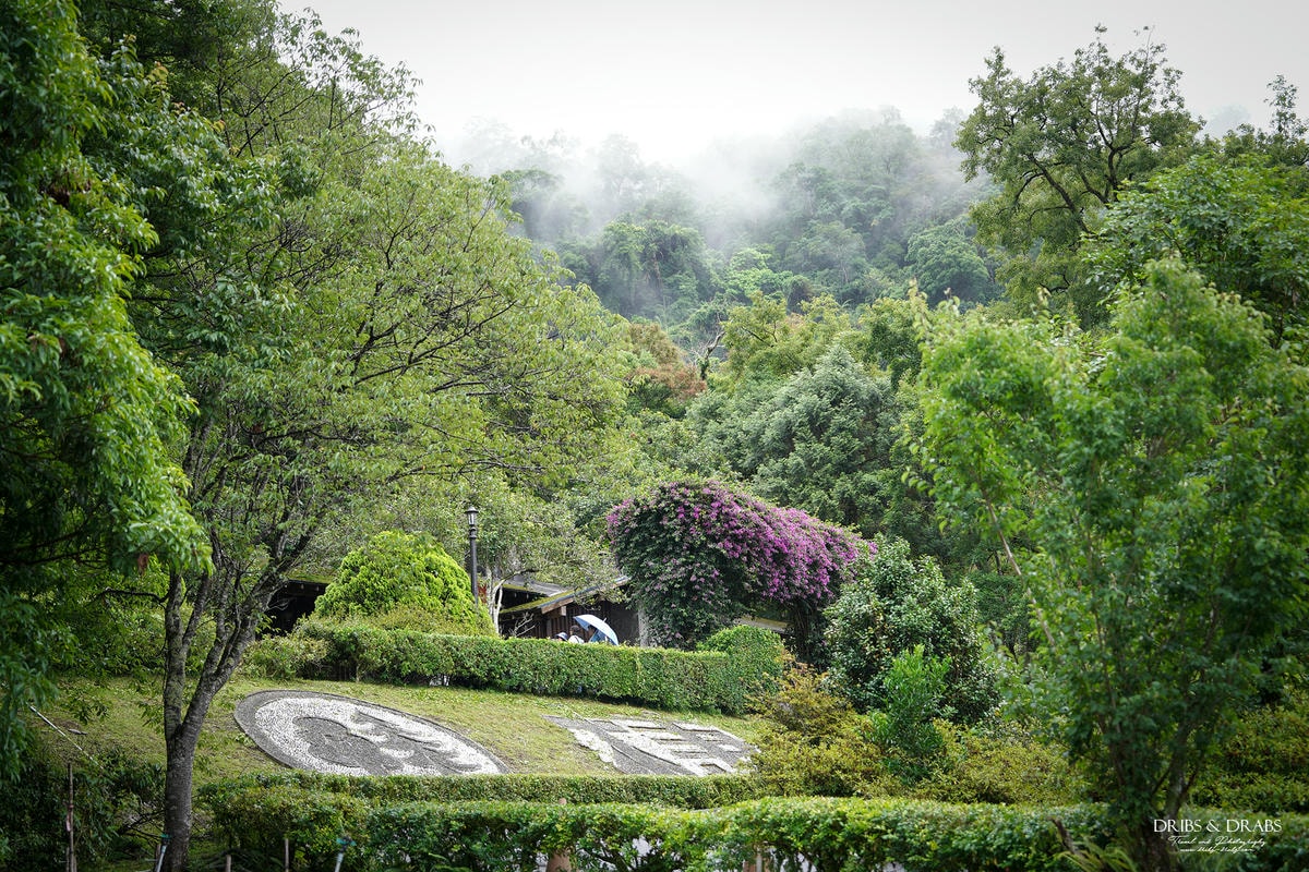 宜蘭棲蘭山莊|最後的時光之力麗馬告生態園區, 住進雲霧森林仙境一探棲蘭神木園之美 - 第21張圖 宜蘭棲蘭山莊|最後的時光之力麗馬告生態園區, 住進雲霧森林仙境一探棲蘭神木園之美