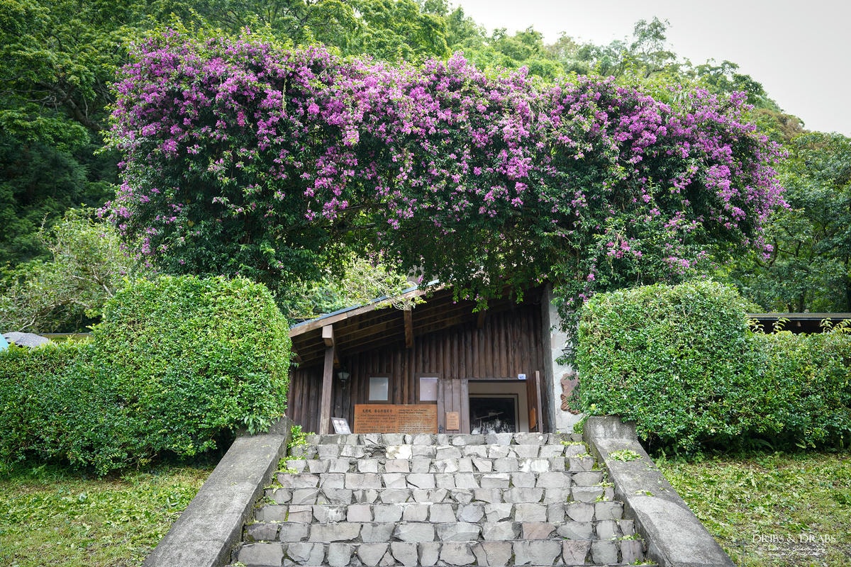 宜蘭棲蘭山莊|最後的時光之力麗馬告生態園區, 住進雲霧森林仙境一探棲蘭神木園之美 - 第22張圖 宜蘭棲蘭山莊|最後的時光之力麗馬告生態園區, 住進雲霧森林仙境一探棲蘭神木園之美