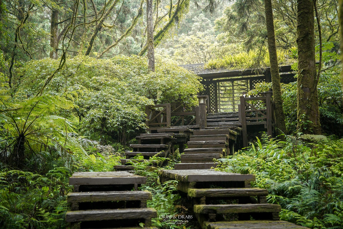 宜蘭明池/明池山莊｜最後的時光身在雲霧飄渺的森林仙境, 北橫之珠山上避暑勝地