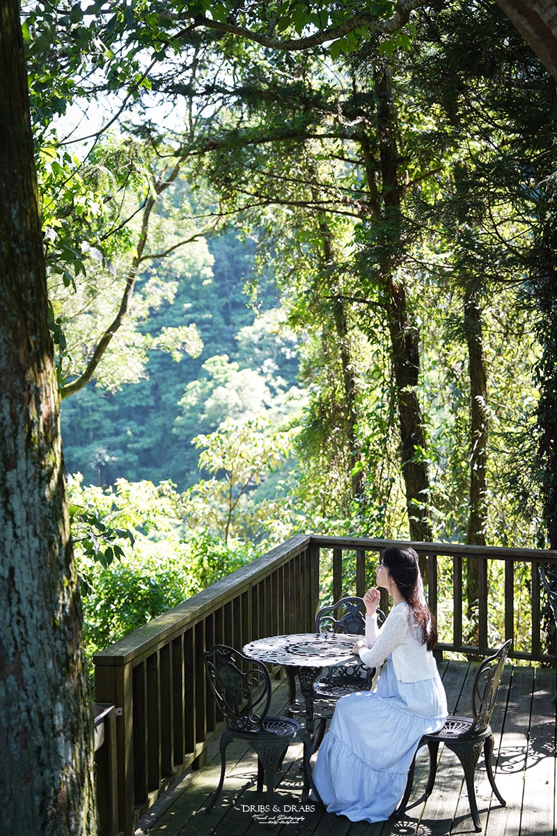苗栗南庄杉林松境休閒農場繡球花 苗栗南庄杉林松境休閒農場繡球花