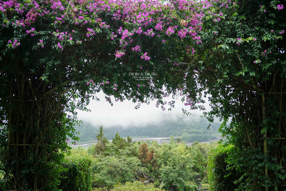 宜蘭棲蘭山莊|最後的時光之力麗馬告生態園區, 住進雲霧森林仙境一探棲蘭神木園之美 - 第25張圖 宜蘭棲蘭山莊|最後的時光之力麗馬告生態園區, 住進雲霧森林仙境一探棲蘭神木園之美
