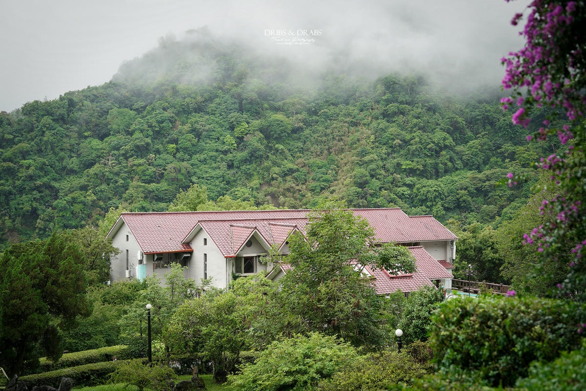 宜蘭棲蘭山莊|最後的時光之力麗馬告生態園區, 住進雲霧森林仙境一探棲蘭神木園之美 - 第26張圖 宜蘭棲蘭山莊|最後的時光之力麗馬告生態園區, 住進雲霧森林仙境一探棲蘭神木園之美