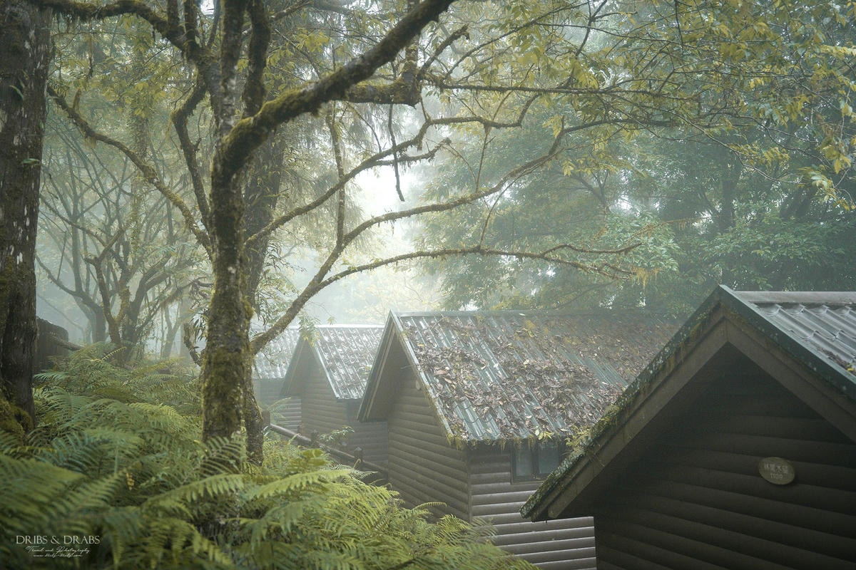 宜蘭明池/明池山莊｜最後的時光身在雲霧飄渺的森林仙境, 北橫之珠山上避暑勝地