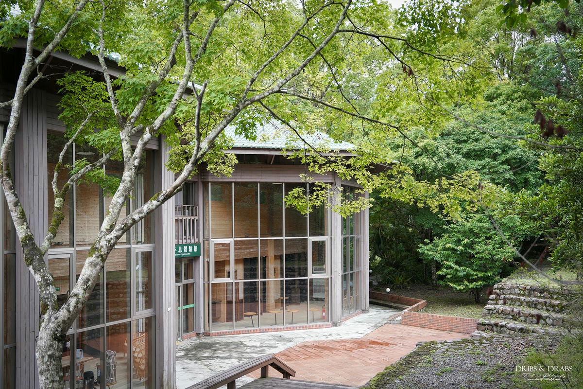 宜蘭棲蘭山莊|最後的時光之力麗馬告生態園區, 住進雲霧森林仙境一探棲蘭神木園之美 - 第40張圖 宜蘭棲蘭山莊|最後的時光之力麗馬告生態園區, 住進雲霧森林仙境一探棲蘭神木園之美