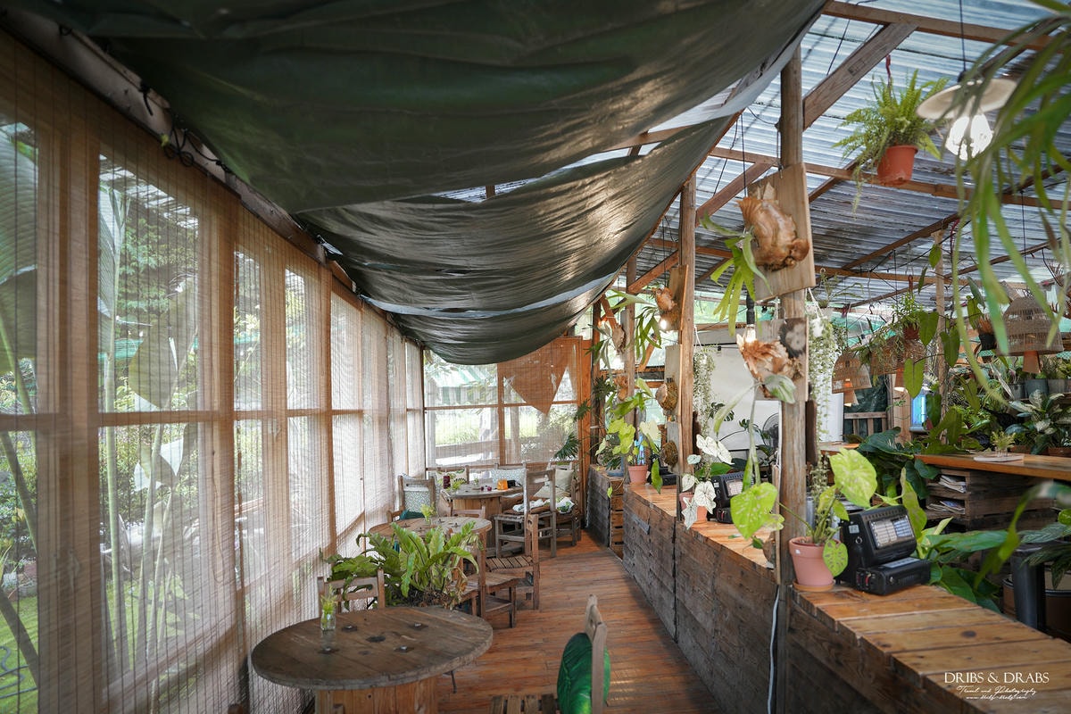桃園龍潭茉莉花園Cafe|隱藏在稻田旁的花草秘境咖啡廳 - 第6張圖 桃園龍潭茉莉花園Cafe|隱藏在稻田旁的花草秘境咖啡廳
