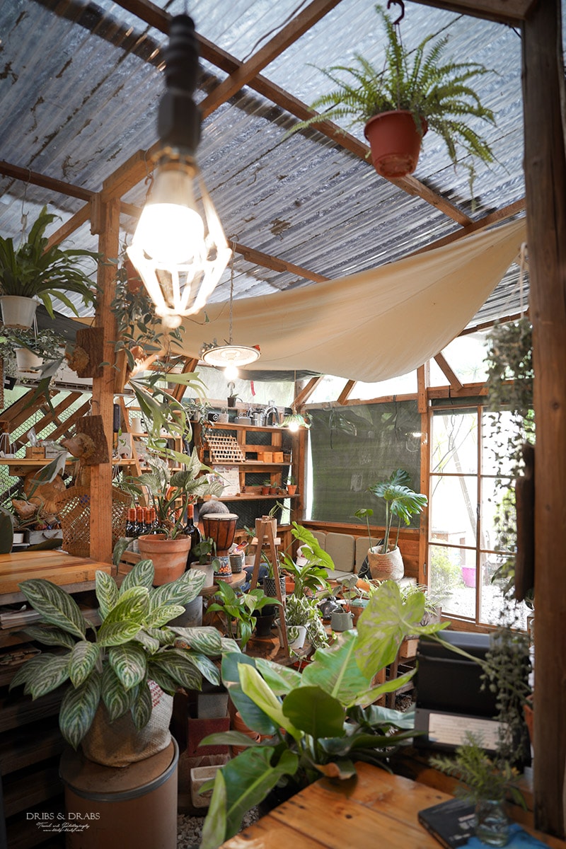 桃園龍潭茉莉花園Cafe|隱藏在稻田旁的花草秘境咖啡廳 - 第7張圖 桃園龍潭茉莉花園Cafe|隱藏在稻田旁的花草秘境咖啡廳