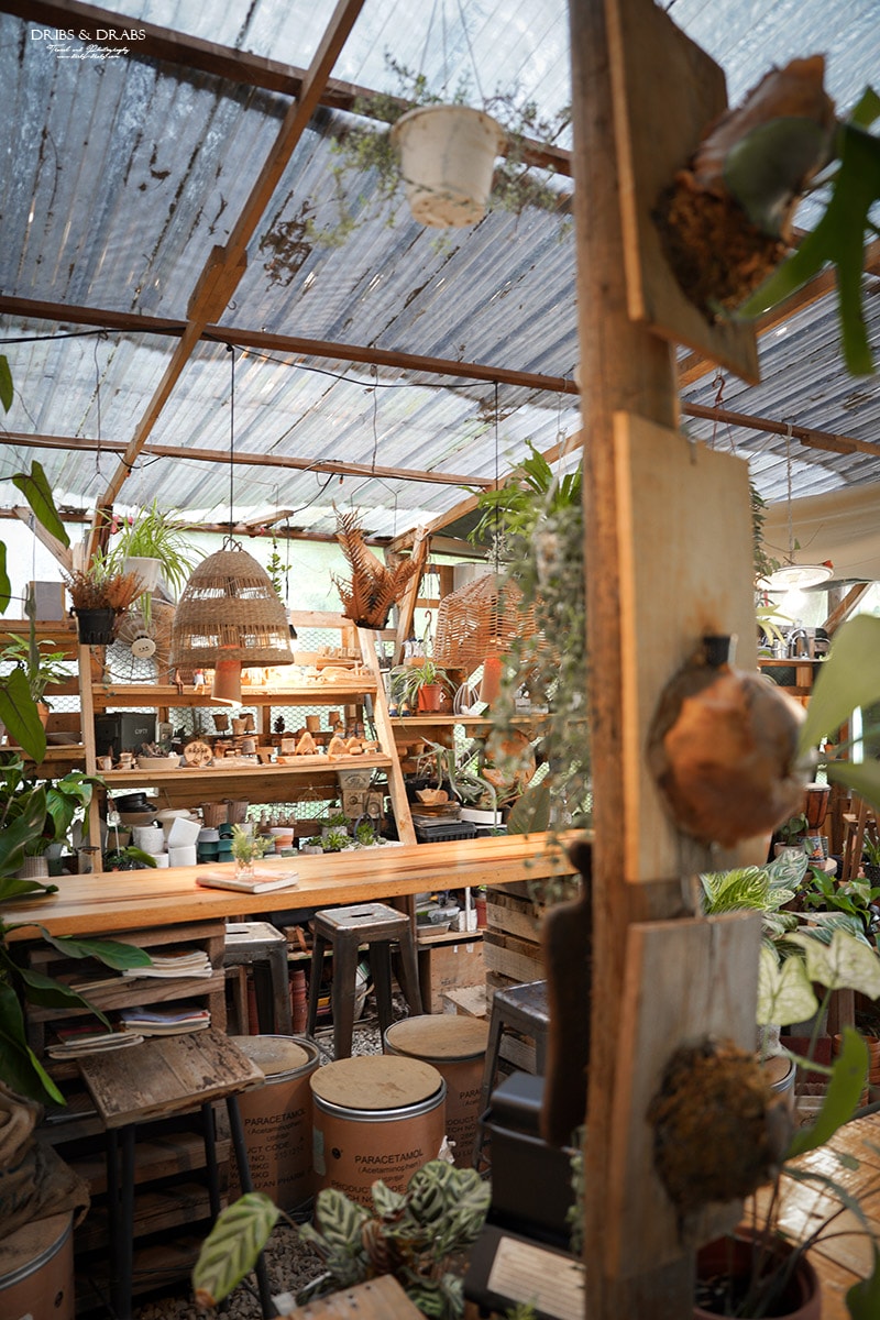 桃園龍潭茉莉花園Cafe|隱藏在稻田旁的花草秘境咖啡廳 - 第8張圖 桃園龍潭茉莉花園Cafe|隱藏在稻田旁的花草秘境咖啡廳