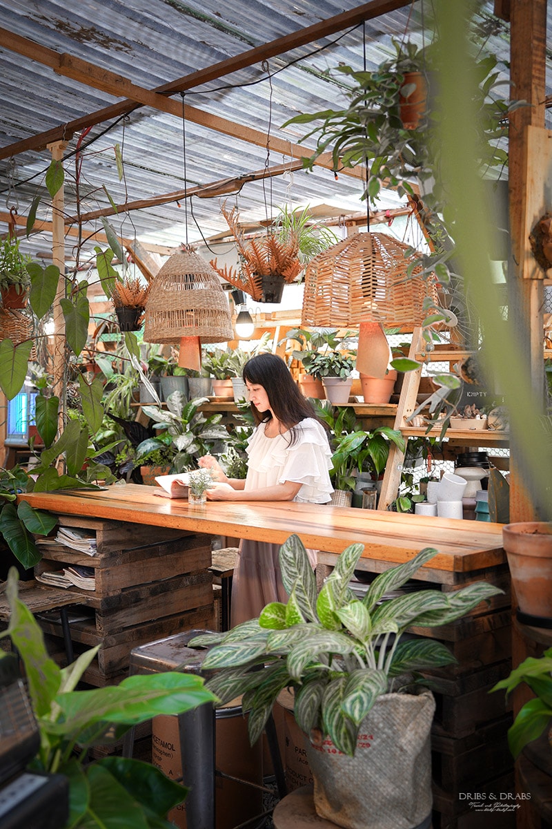 桃園龍潭茉莉花園Cafe|隱藏在稻田旁的花草秘境咖啡廳 - 第12張圖 桃園龍潭茉莉花園Cafe|隱藏在稻田旁的花草秘境咖啡廳