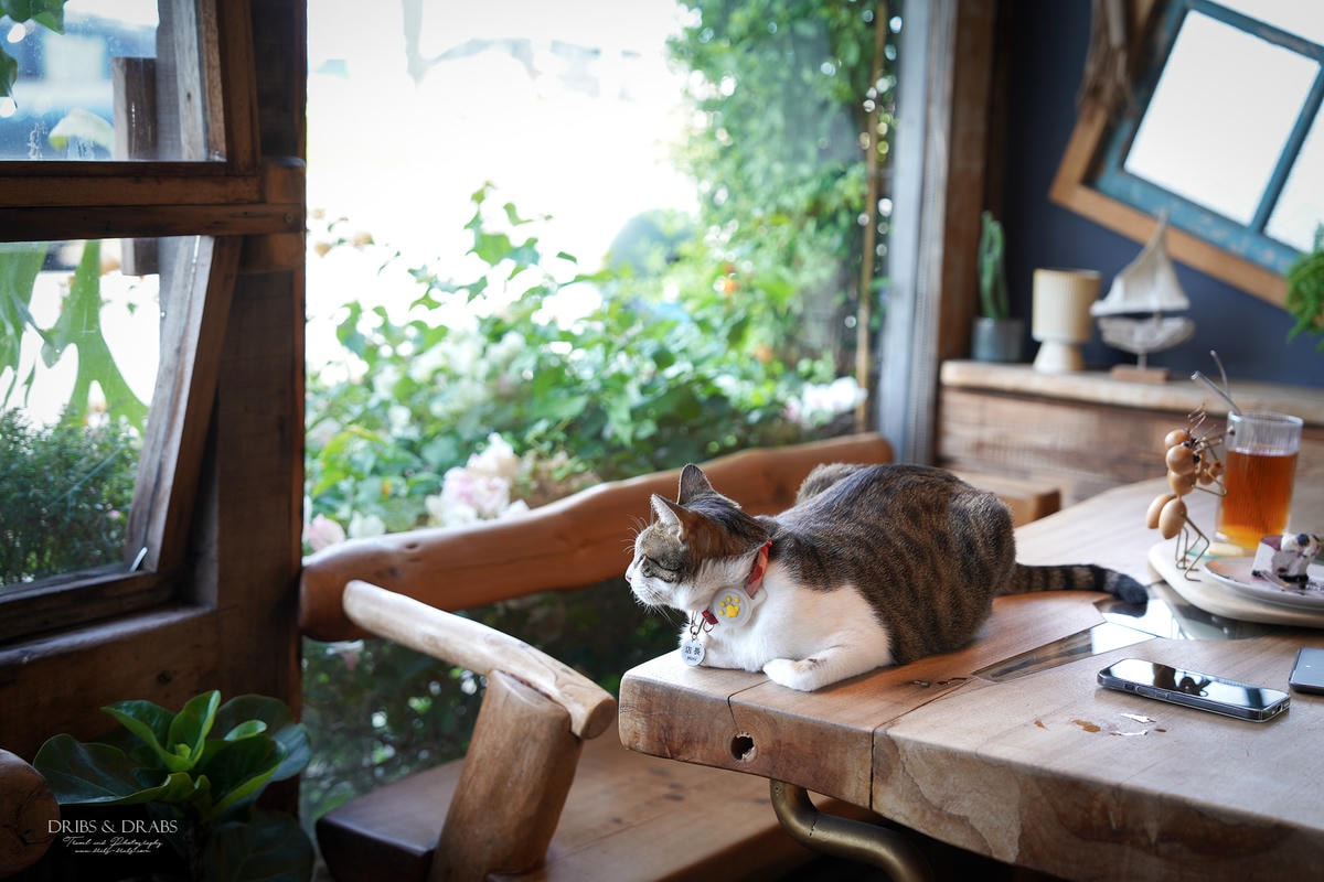 花蓮咖啡廳咖啡木CoffeeMoon