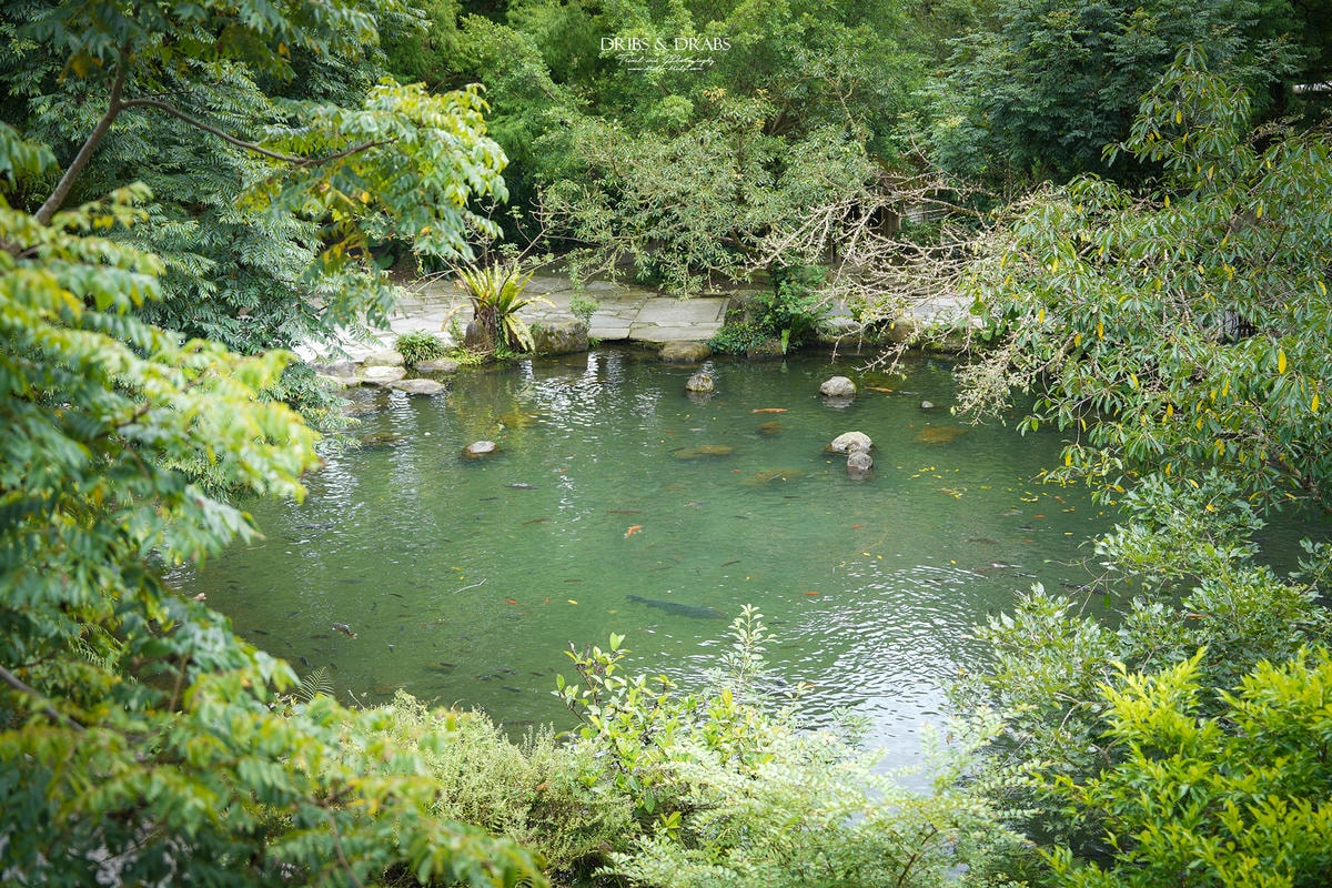 宜蘭冬山「三富休閒農場/紫森林」二訪清水模建築森林民宿, 無蚊生態園區與寵物友善住宿 - 第5張圖 宜蘭冬山「三富休閒農場/紫森林」二訪清水模建築森林民宿, 無蚊生態園區與寵物友善住宿