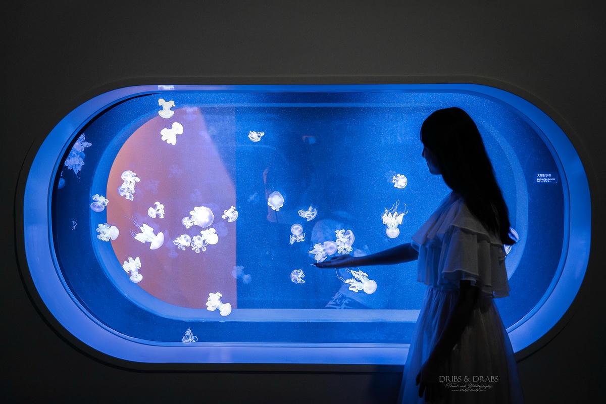 台中海洋館