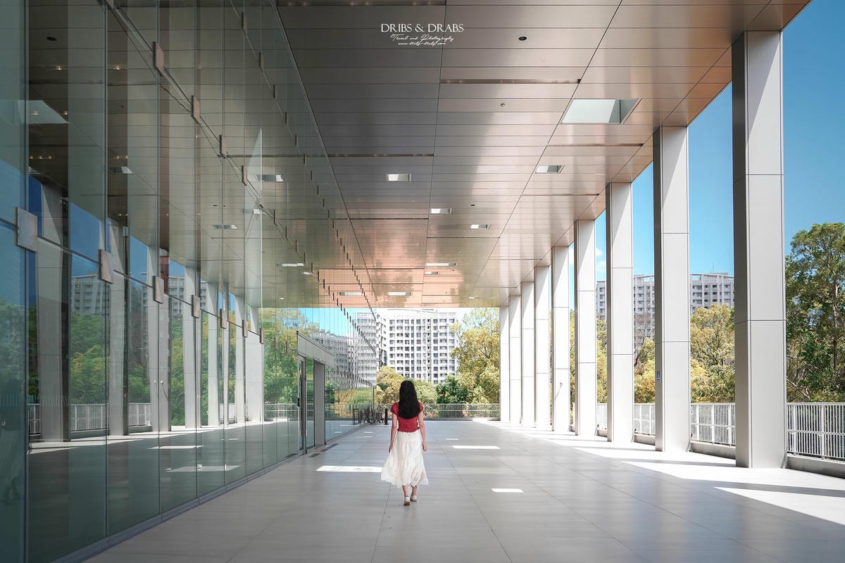 新北林口國家檔案館｜新美學建築展覽免費參觀, 交通免費接駁巴士與展覽全攻略
