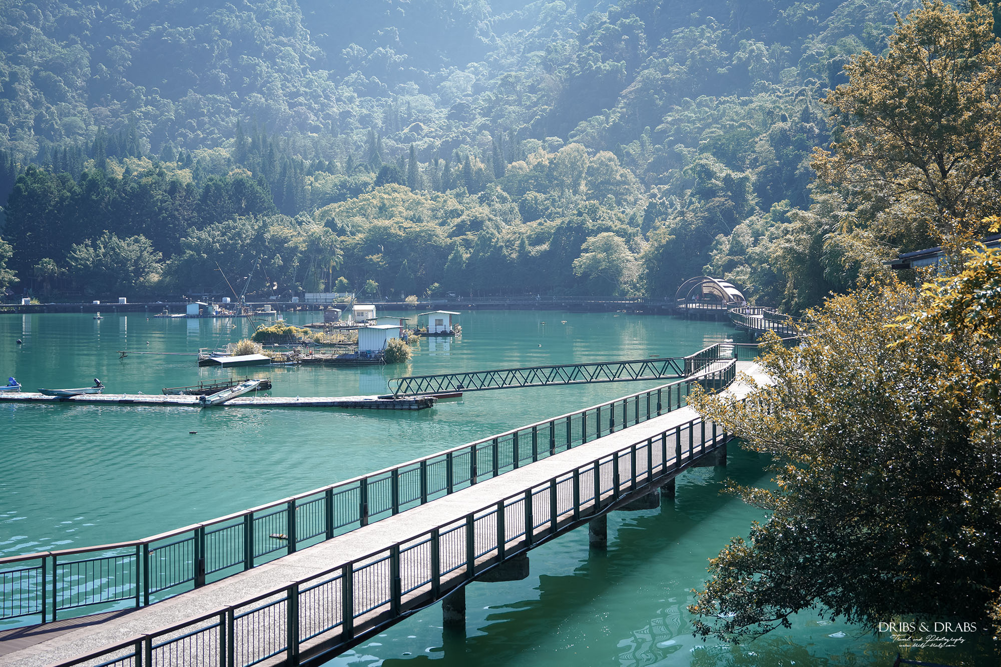 日月潭湖景飯店推薦｜儷山林會館湖畔第一排渡假飯店，房內就能釣魚的親子住宿首選