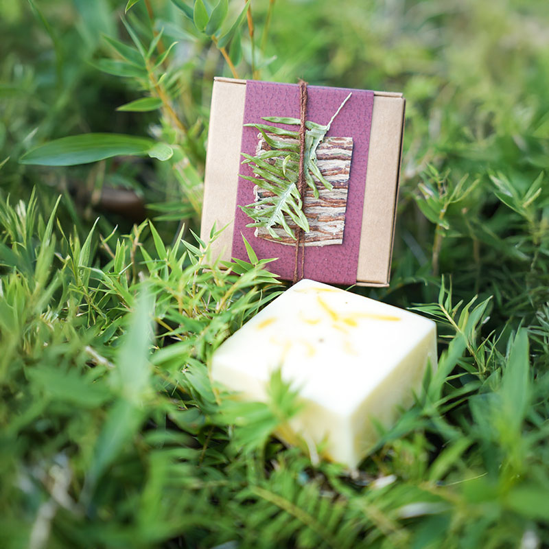新竹峨眉茶香小旅行｜探訪東方美人茶的故鄉, 一場結合茶香、茶染工藝的深度旅行