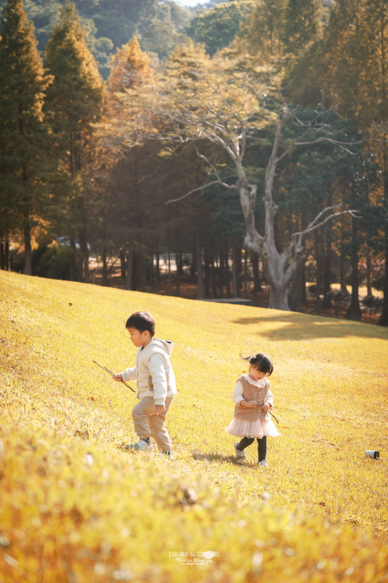 新竹芎林小森之歌｜新竹落羽松景點、親子景點推薦，唯美白色教堂打卡點