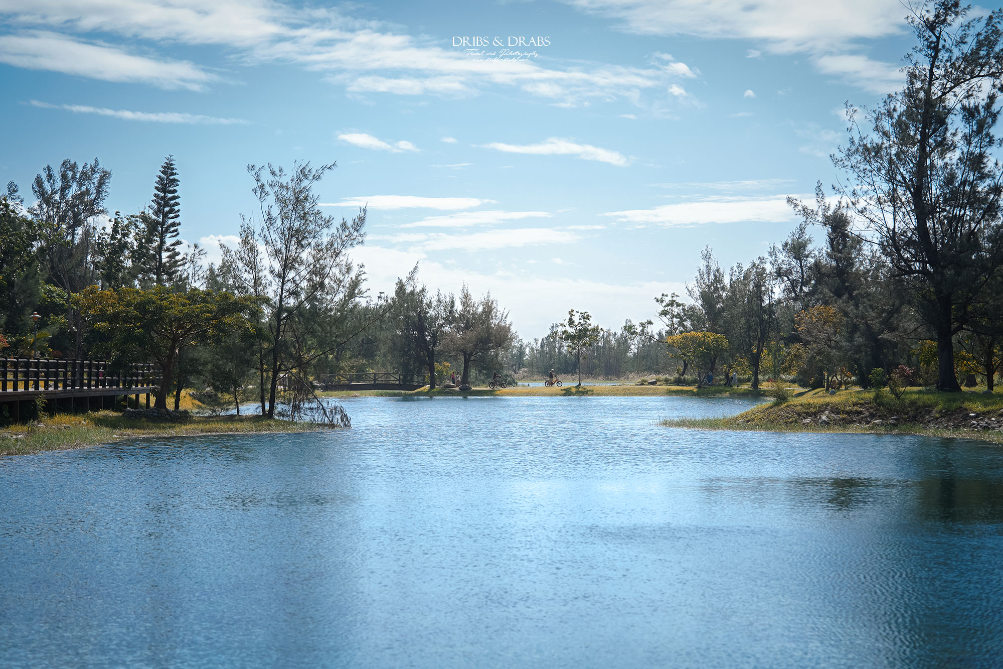 台東森林公園免費入園｜台東必訪景點, 絕美琵琶湖湧泉步道, 單車綠色隧道輕旅行